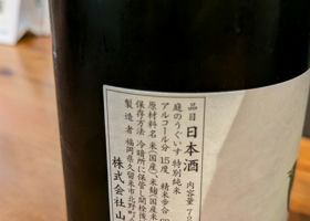 alt 3