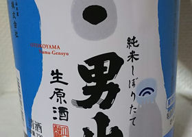 alt 1