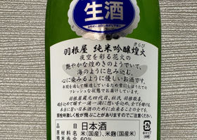 alt 3