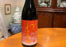 わかむすめ チェックイン 1