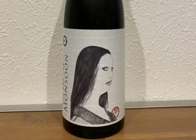 alt 1