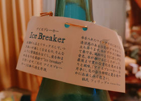 alt 1