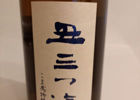alt 1