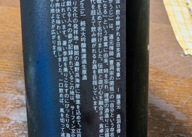 alt 3