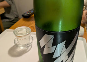 alt 1
