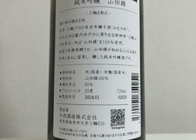 alt 3