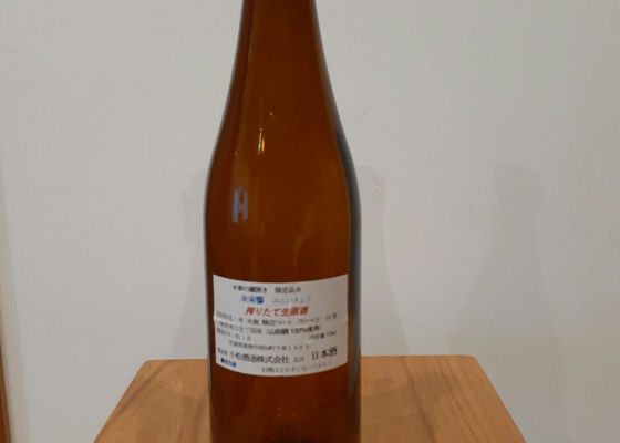 alt 1