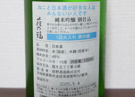alt 2