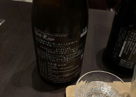 alt 4