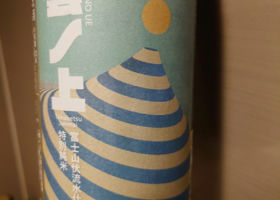 alt 1