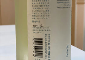 alt 3
