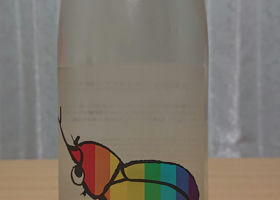 alt 1