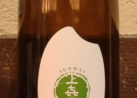 alt 1