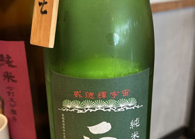 alt 1