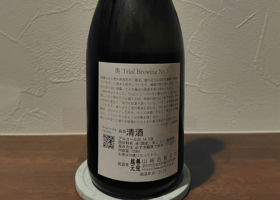 alt 2