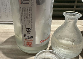 alt 3