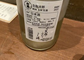 alt 3