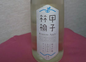 alt 2