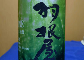 alt 1