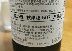 alt 3