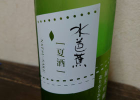 alt 1