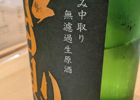 alt 3