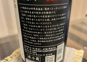 alt 3