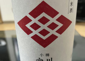 alt 1