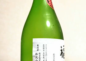 alt 3