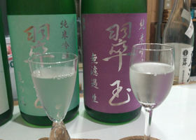 alt 2