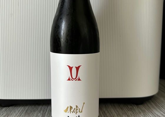 alt 1