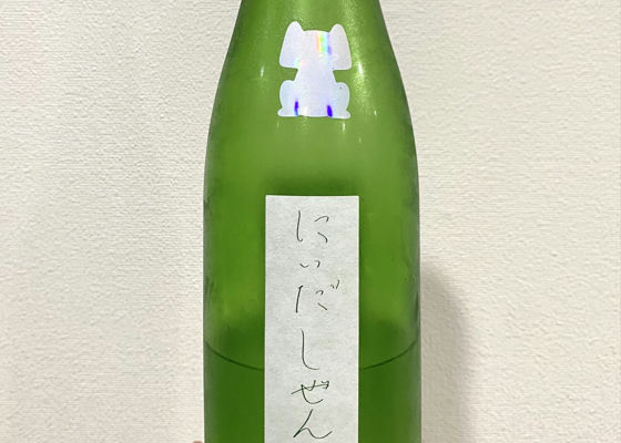 alt 1