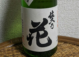 alt 1