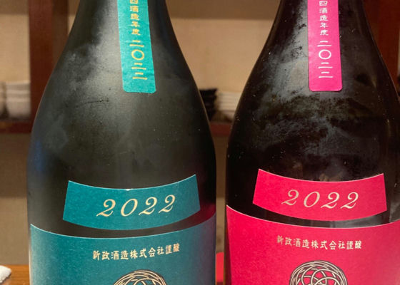 新政
