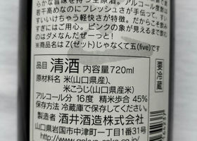 alt 2