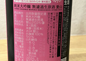 alt 3