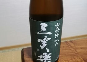alt 1