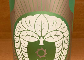 alt 1