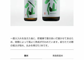 alt 3