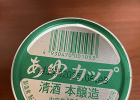 alt 3