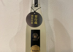 alt 1