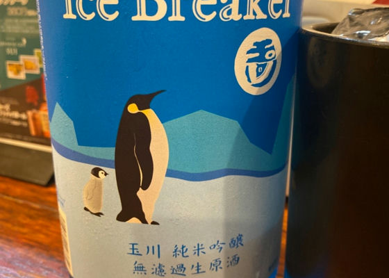 alt 1