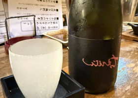 alt 1