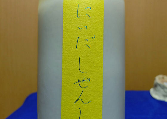 alt 1