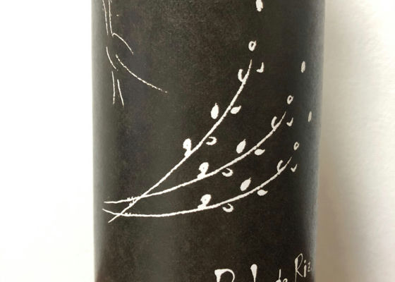 alt 1
