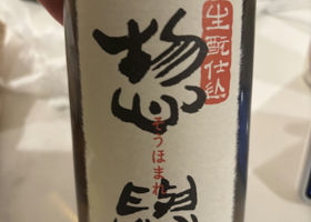 alt 1