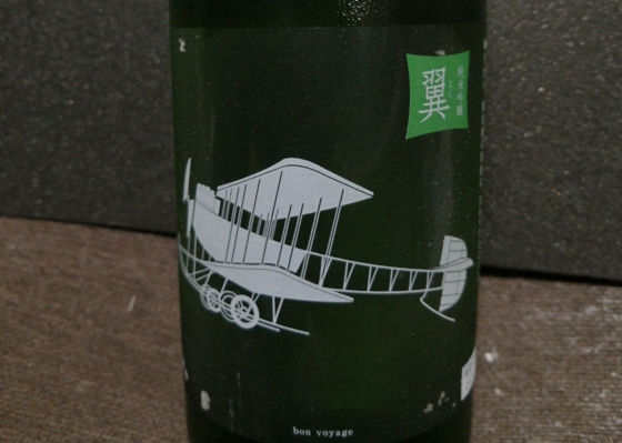 alt 1