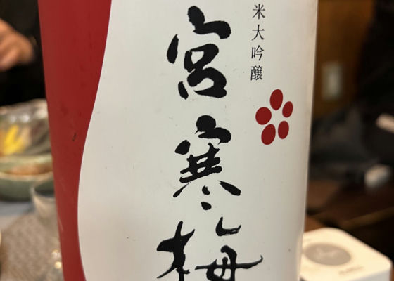alt 1