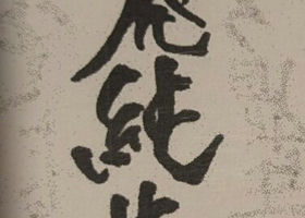 alt 1