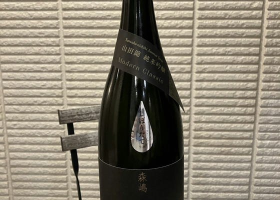 alt 1